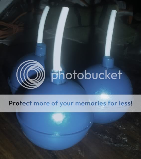 Link from Twilight Princess